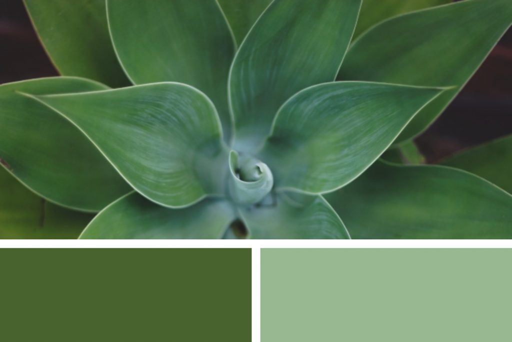 Color trends 2022 gray-green